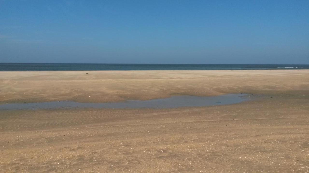 Vitamin Sea เฮมสแคร์ก ภายนอก รูปภาพ